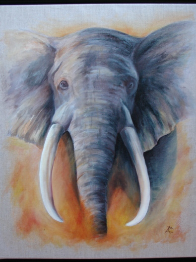 elephant-001
