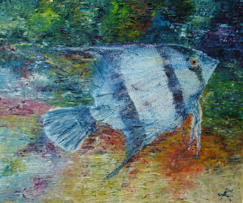fish nets2 008-001